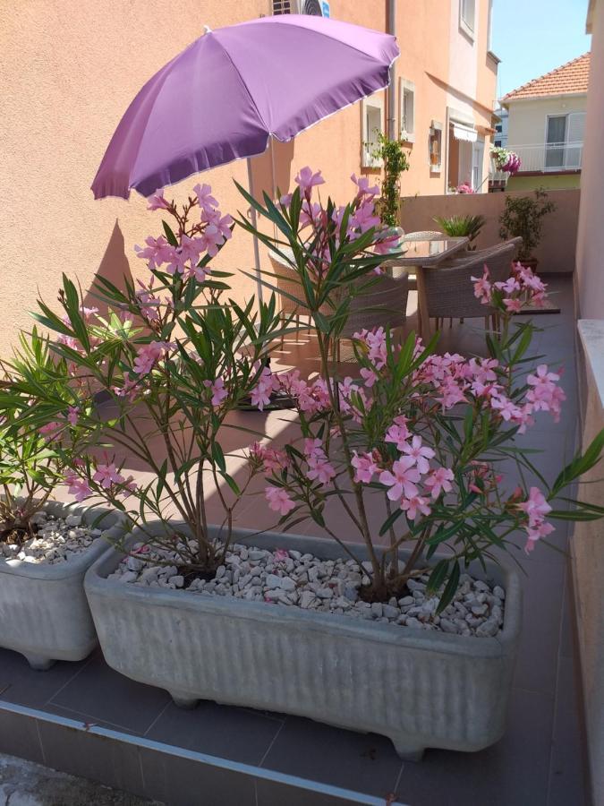 Apartment Yelena Rose West Zadar Exterior photo